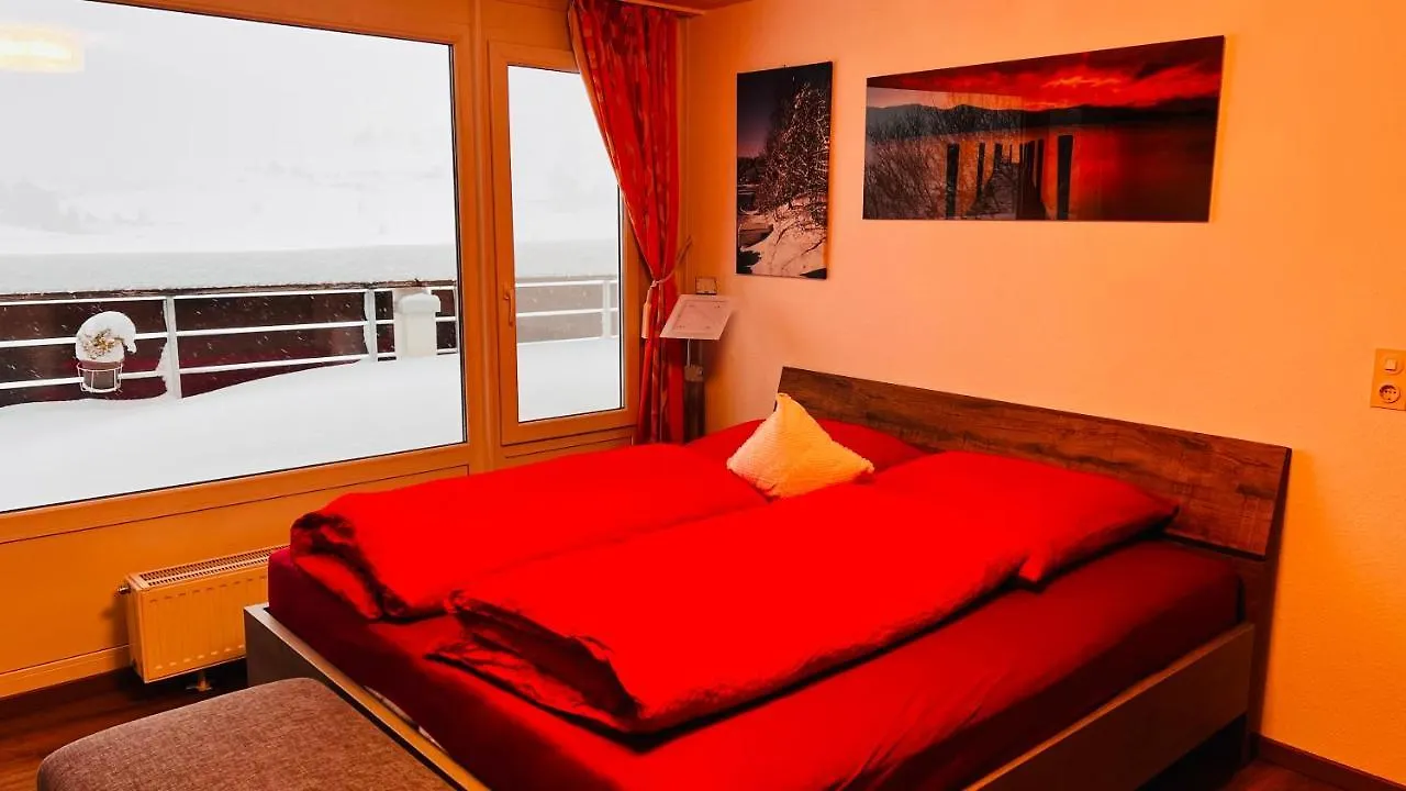 Auszeit Mit Sauna Und Pool Scheidegg 0*,  Germany